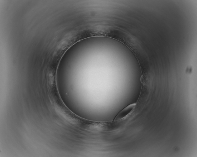 X0000112040086200908031527