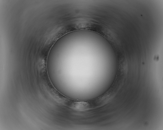 X0000112040087200908031527
