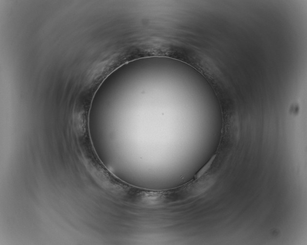 X0000112040088200908031527