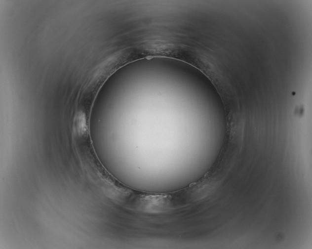 X0000112040089200908031527