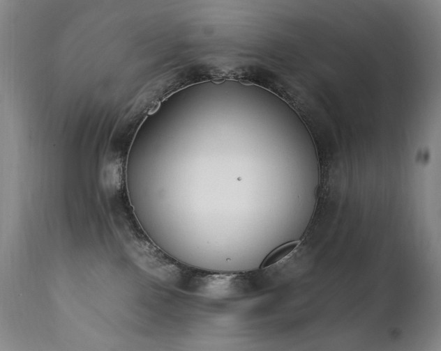 X0000112040090200908031527