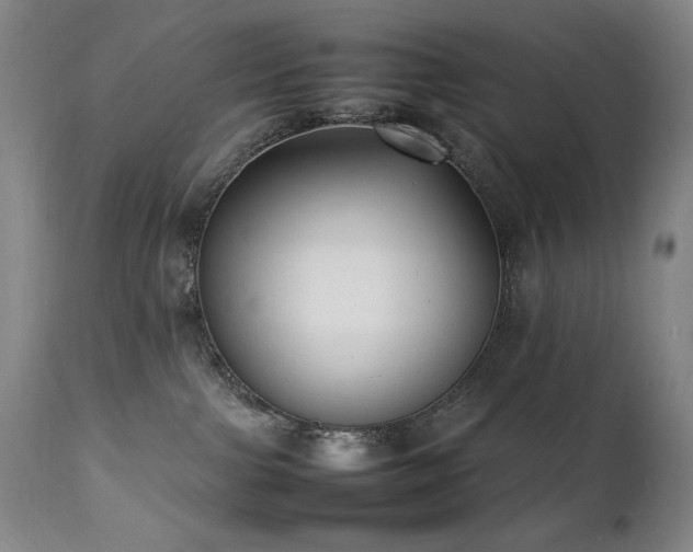 X0000112040091200908031527