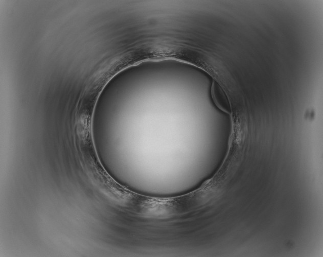 X0000112040093200908031527