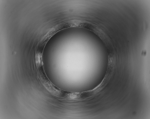 X0000112040094200908031527