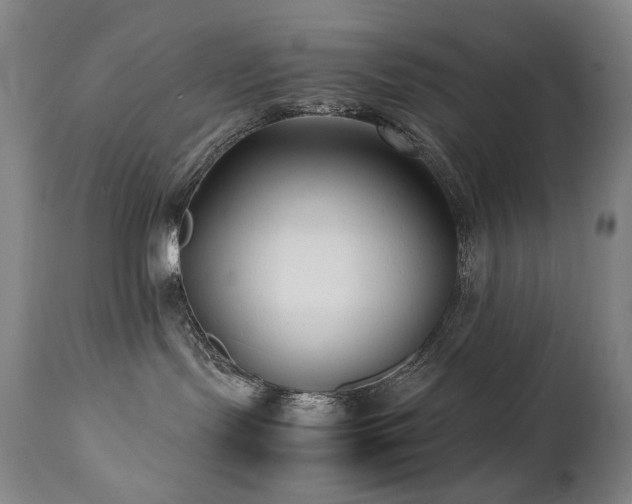 X0000112040095200908031527