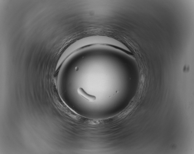 X0000112040096200908031527