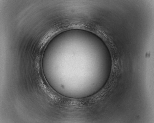 X0000112040098200908031526