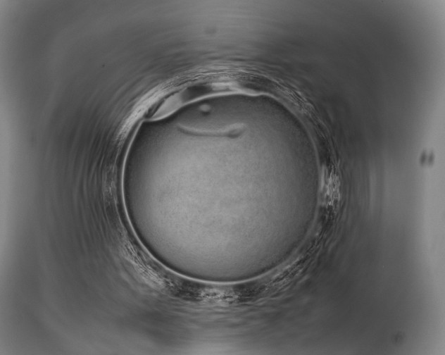 X0000112040099200908031526