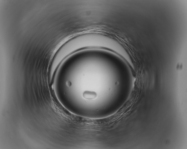 X0000112040100200908031526