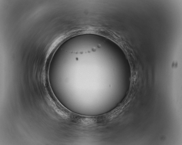 X0000112040102200908031526