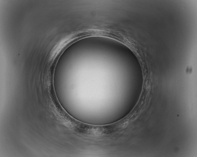 X0000112040103200908031526