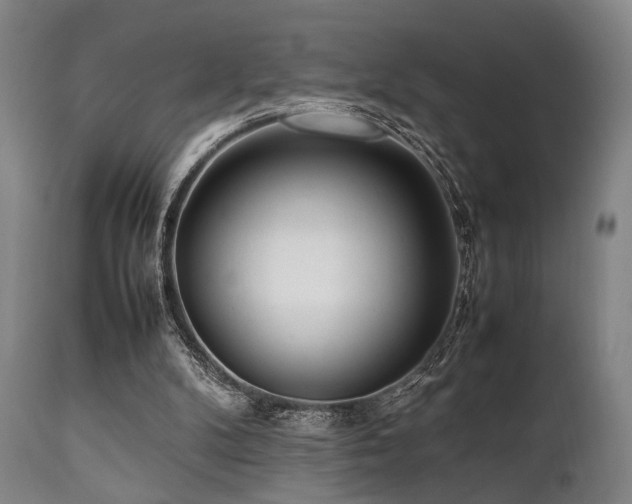 X0000112040104200908031526