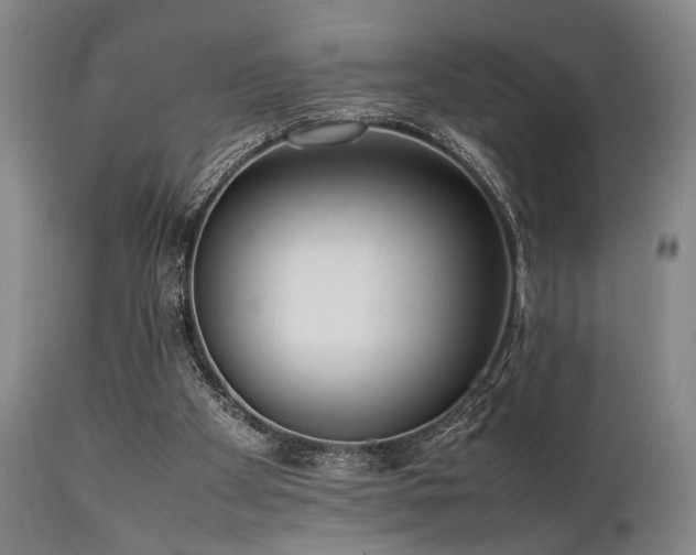 X0000112040105200908031526