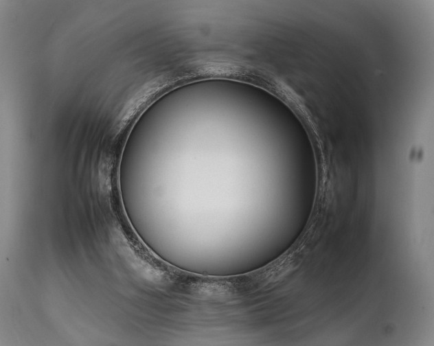 X0000112040106200908031526