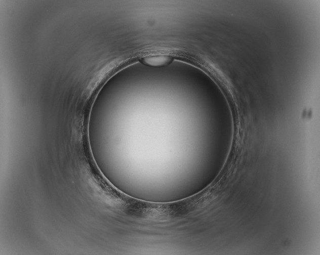 X0000112040107200908031526