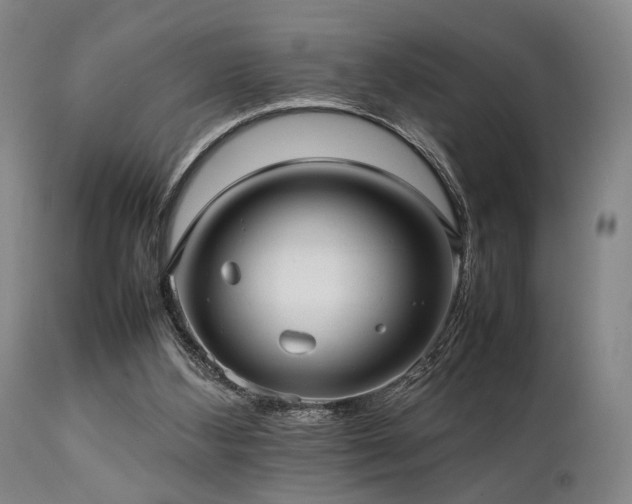 X0000112040108200908031526