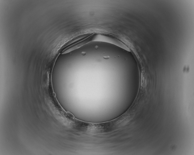 X0000112040109200908031526