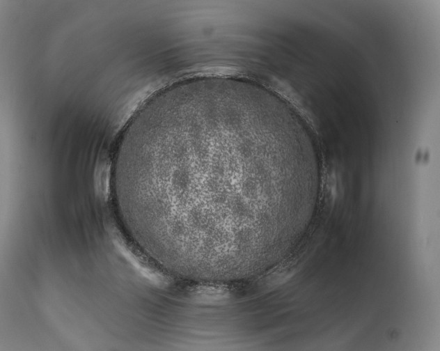 X0000112040110200908031526
