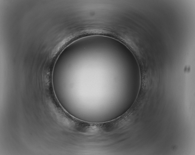 X0000112040111200908031526