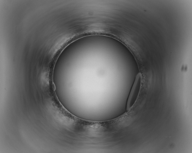 X0000112040112200908031526