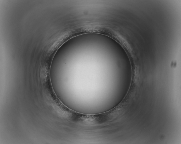 X0000112040113200908031526