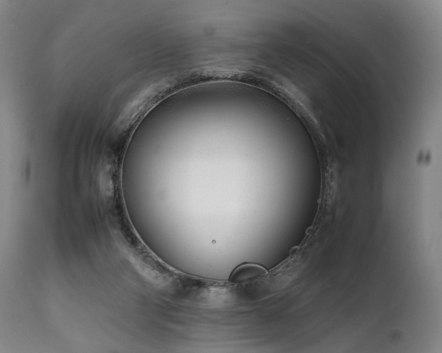 X0000112040114200908031526