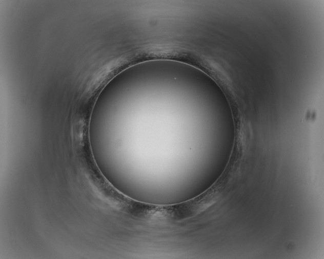 X0000112040115200908031526
