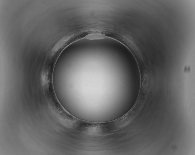 X0000112040116200908031526
