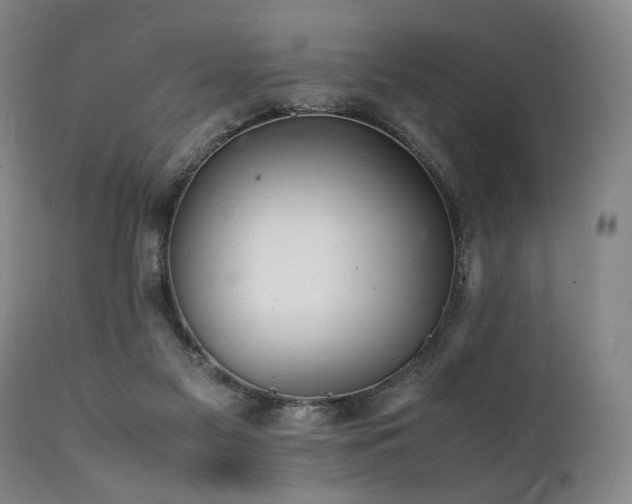 X0000112040117200908031526