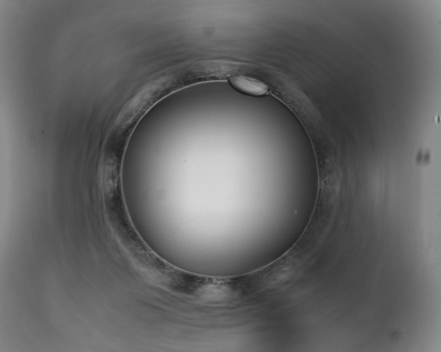 X0000112040119200908031526