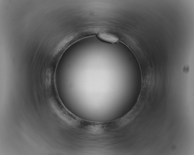 X0000112040120200908031526