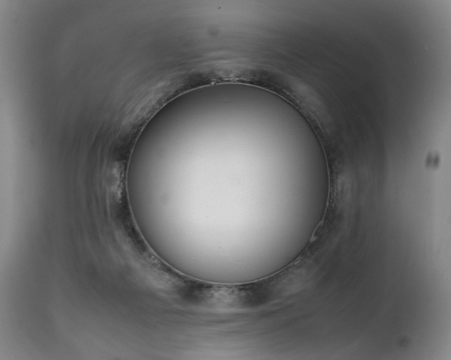 X0000112040121200908031526