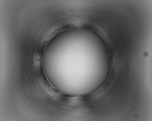 X0000112040122200908031526