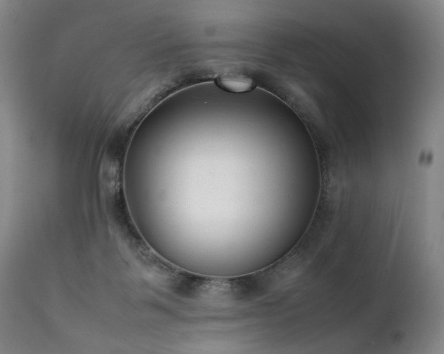 X0000112040123200908031526
