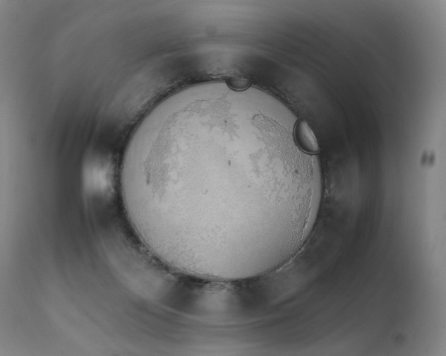 X0000112040124200908031526