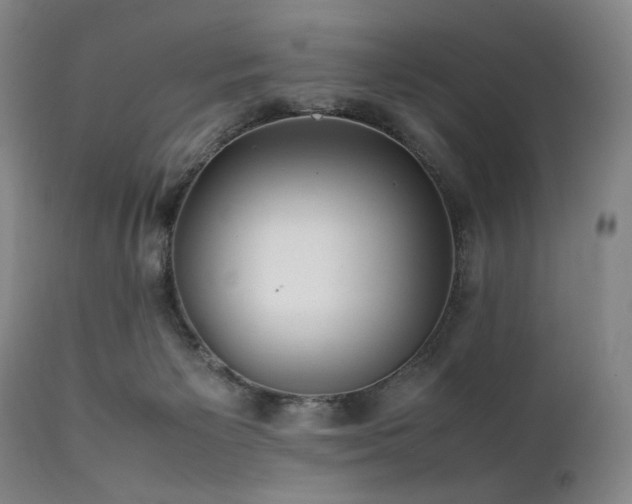 X0000112040125200908031526