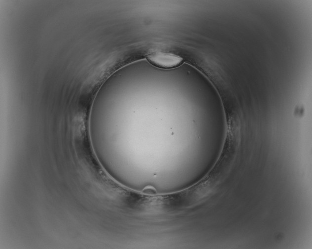 X0000112040127200908031526