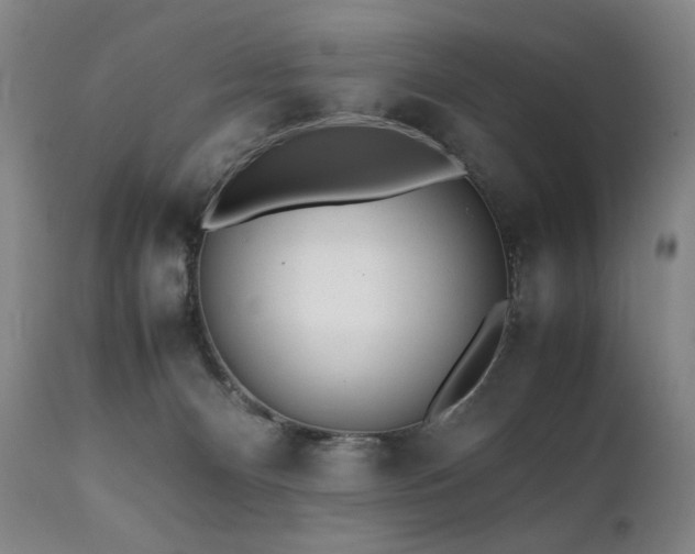 X0000112040128200908031526