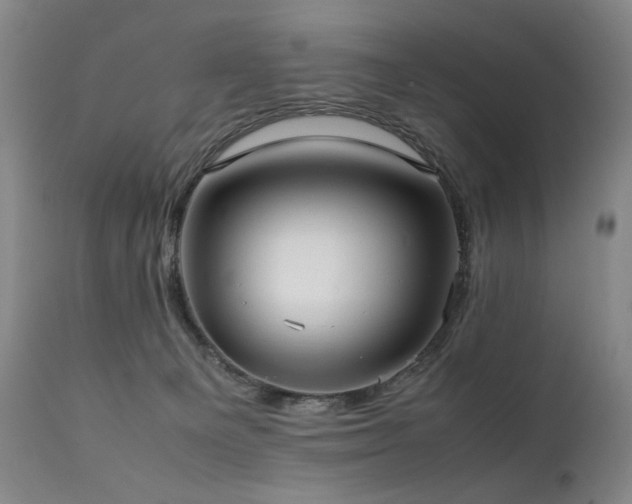 X0000112040129200908031526