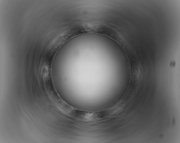 X0000112040130200908031526