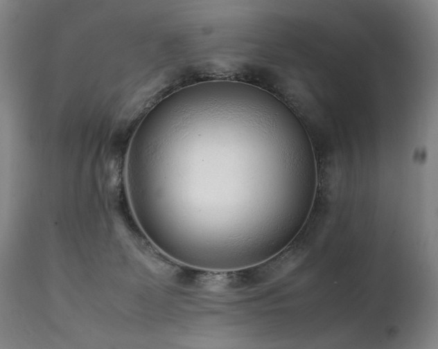 X0000112040131200908031526