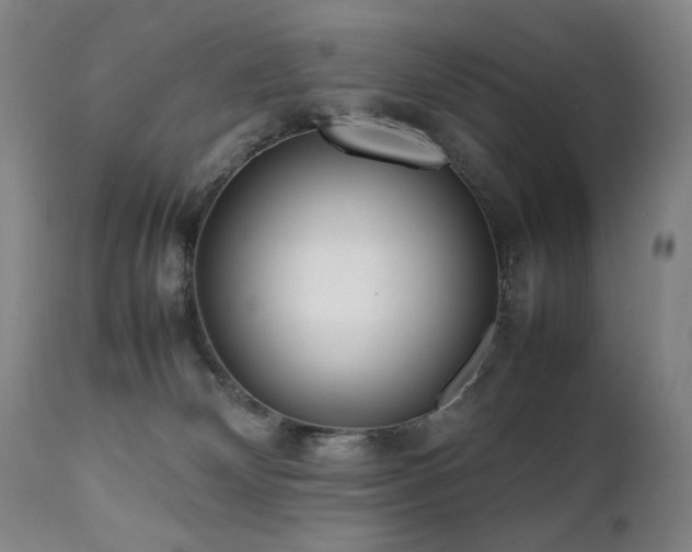 X0000112040132200908031526