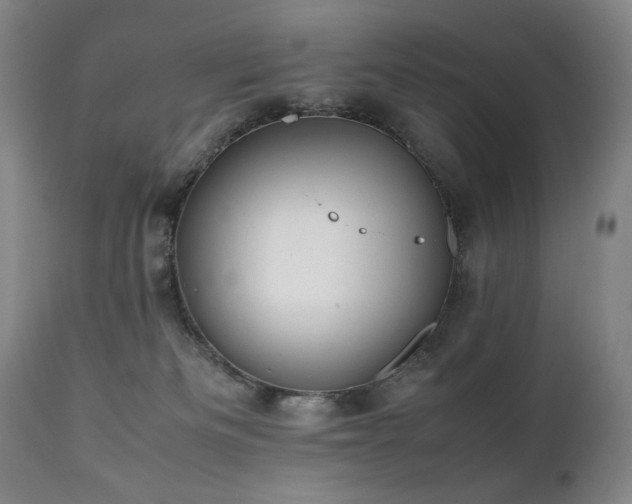 X0000112040133200908031526