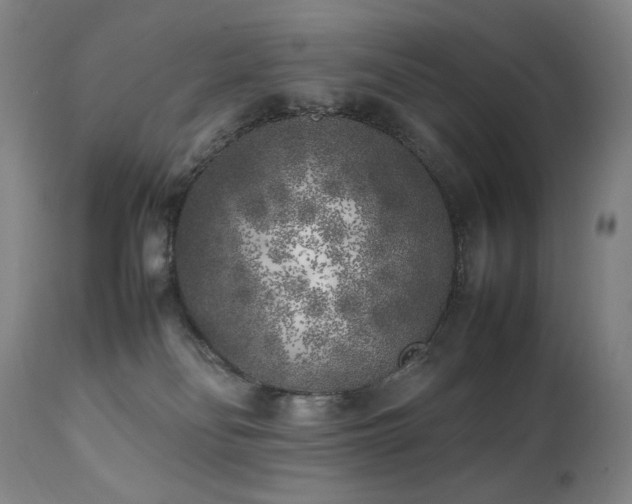 X0000112040134200908031526