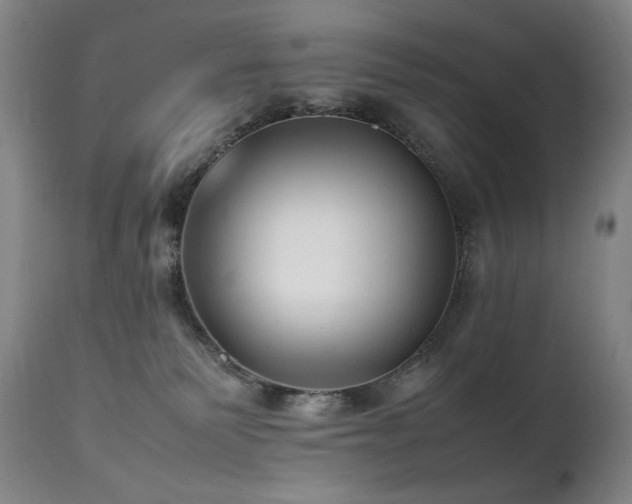 X0000112040135200908031526