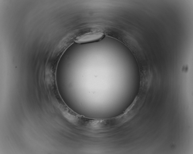 X0000112040136200908031526