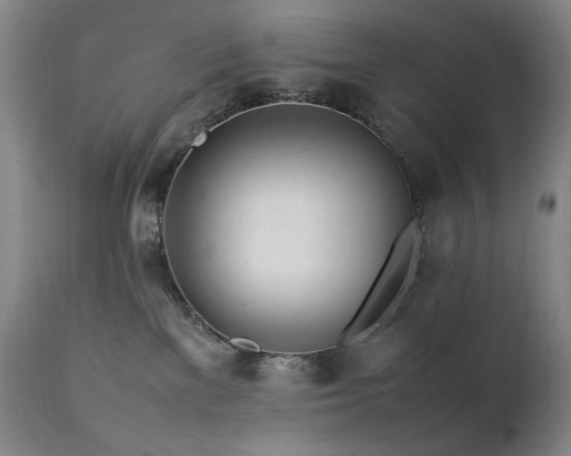 X0000112040137200908031526
