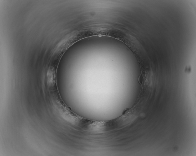 X0000112040138200908031526