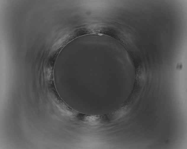X0000112040139200908031526