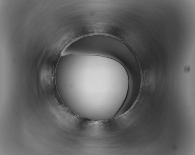 X0000112040140200908031526